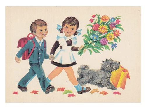 0b0fae1197e76b91f2e17b1894248731_960_auto