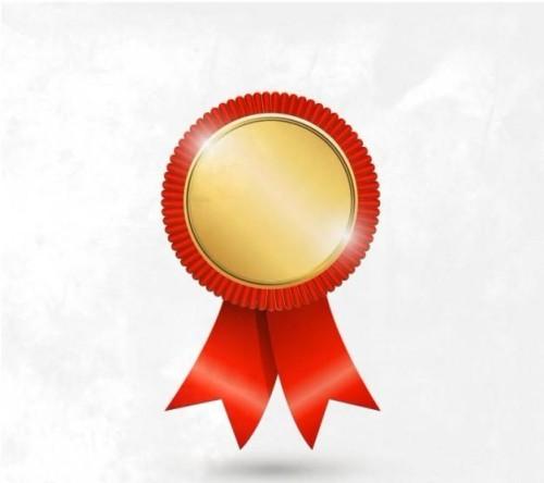 По итогам областного этапа олимпиады 5 участников из Костюкович награждены дипломами