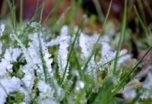 Прохладная погода ожидается в Беларуси на этой неделе