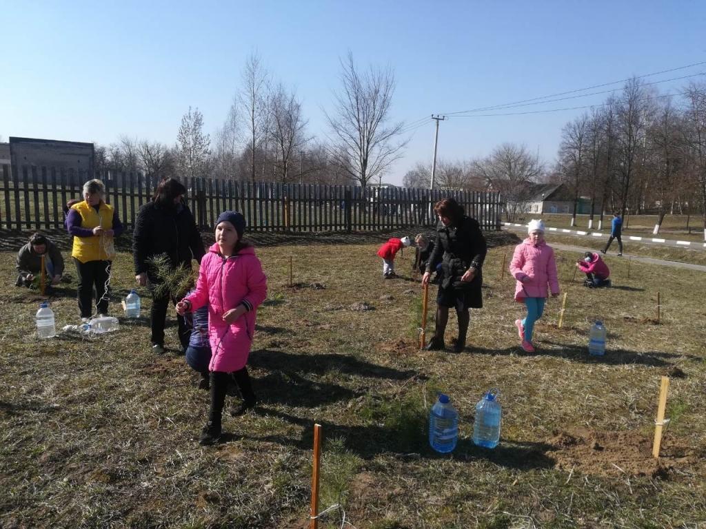 В Костюковичах гимназисты вместе с родителями посадили деревья (фото)