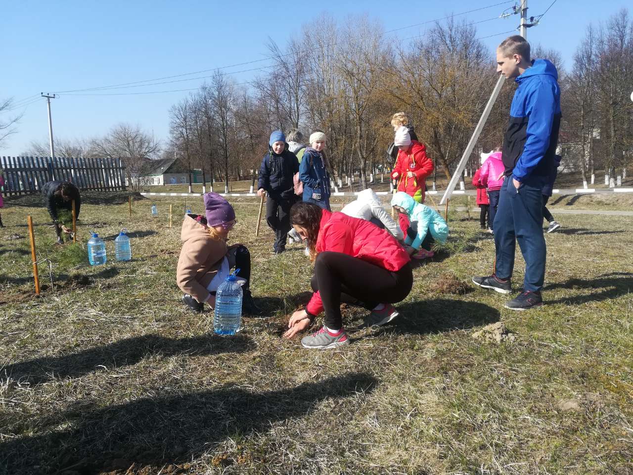 В Костюковичах гимназисты вместе с родителями посадили деревья (фото)