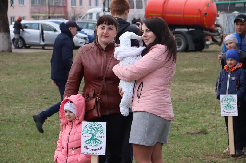 Аллея семейных деревьев появилась в Костюковичах (фото)