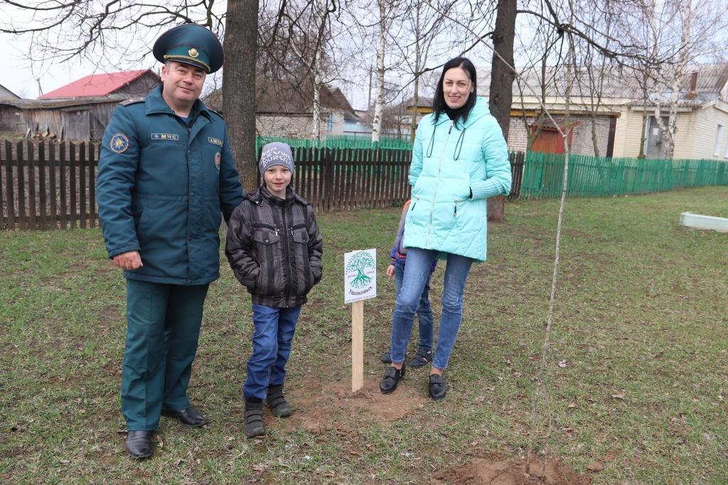 Аллея семейных деревьев появилась в Костюковичах (фото)