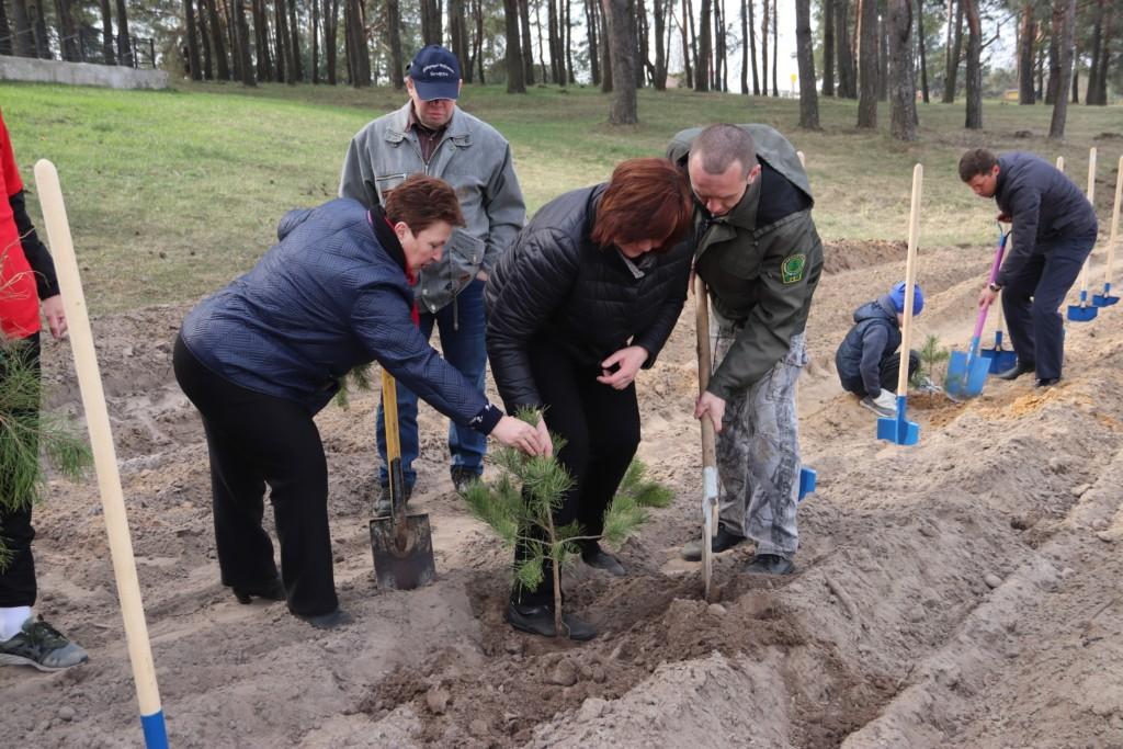 В Костюковичах возле братской могилы посадили аллею деревьев (фото)
