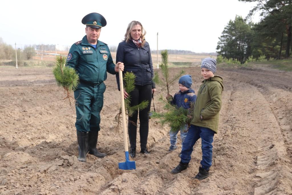 В Костюковичах возле братской могилы посадили аллею деревьев (фото)