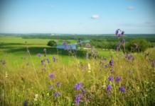 Июнь в этом году ожидается теплее обычного — Белгидромет