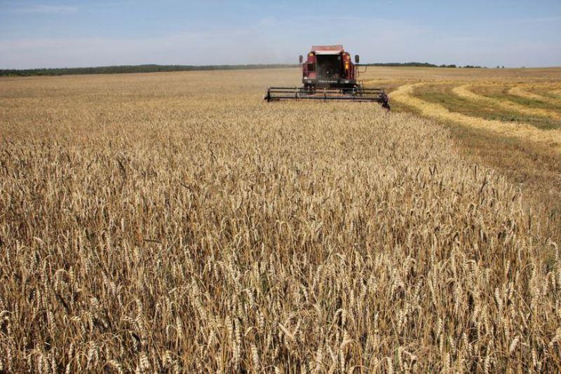 Передовики на уборке урожая зерновых культур Костюковичского района