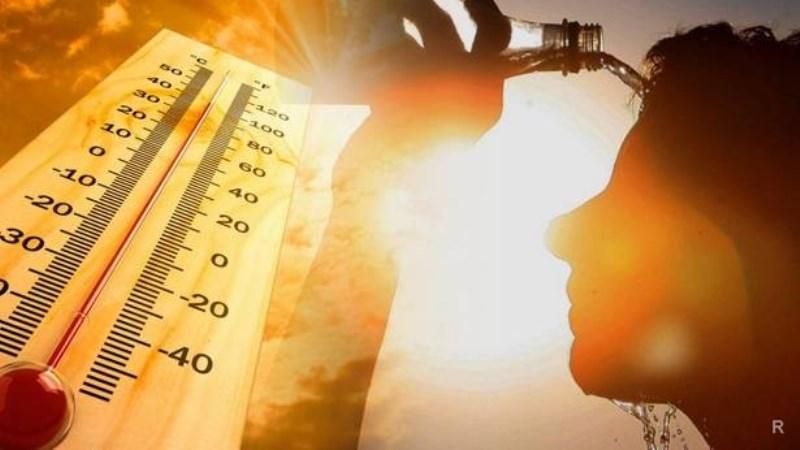 До 25 градусов тепла ожидается в Беларуси 17 августа