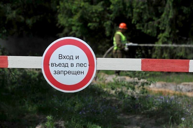 В Костюковичском районе введен запрет на посещение лесов