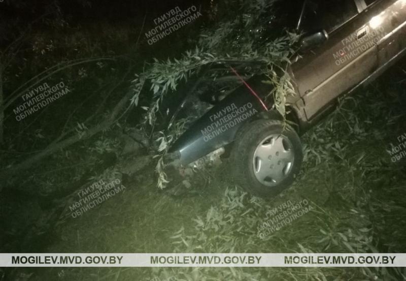 Пьяный бесправник вылетел в кювет и врезался в дерево в Костюковичском районе: пострадали трое