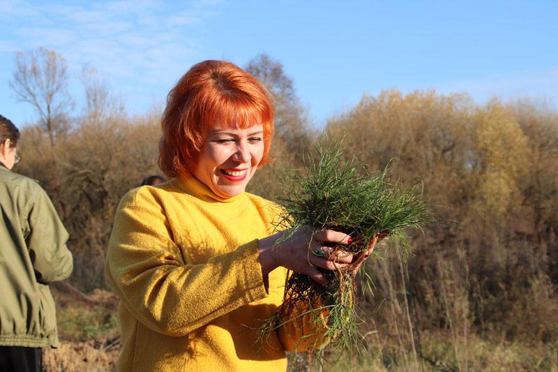 На субботнике в Костюковичах высажено более 1200 саженцев деревьев (+ фото)