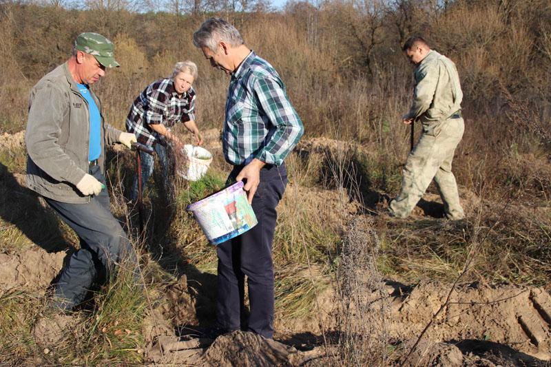 На субботнике в Костюковичах высажено более 1200 саженцев деревьев (+ фото)