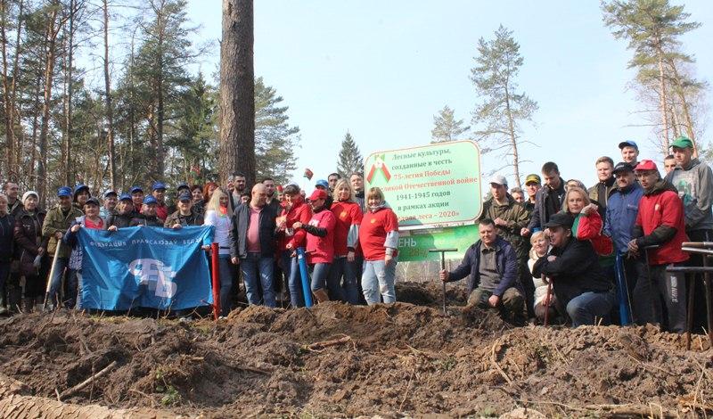 Деревьев много не бывает: Более 20 тысяч саженцев высадили в Костюковичах в рамках акции «Неделя леса»