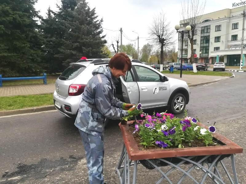 69 тысяч цветов планируют высадить работники ЖКХ в Костюковичах
