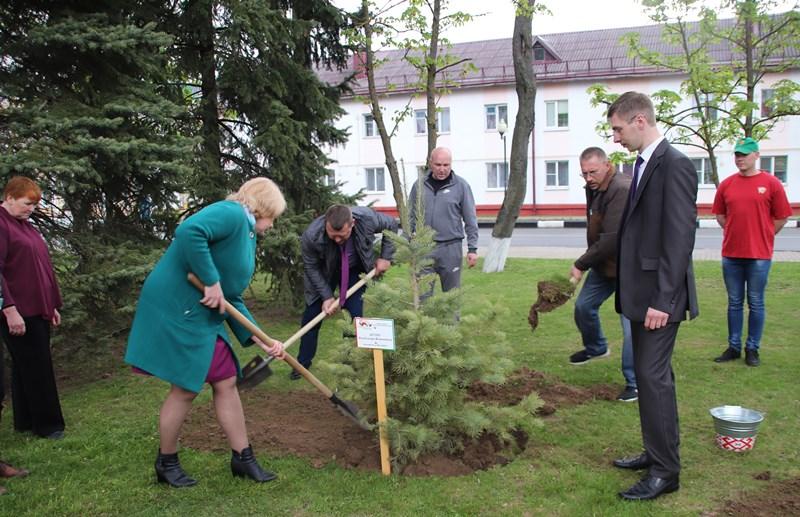 В Костюковичах состоялась районная акция «Посади дерево», посвященная 75-летию Великой Победы