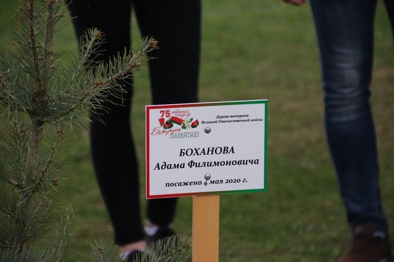 В Костюковичах состоялась районная акция «Посади дерево», посвященная 75-летию Великой Победы