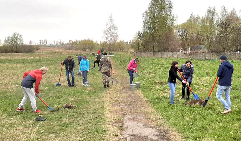 Активная молодежь Костюковичского лесхоза в День труда высадила аллею рябин