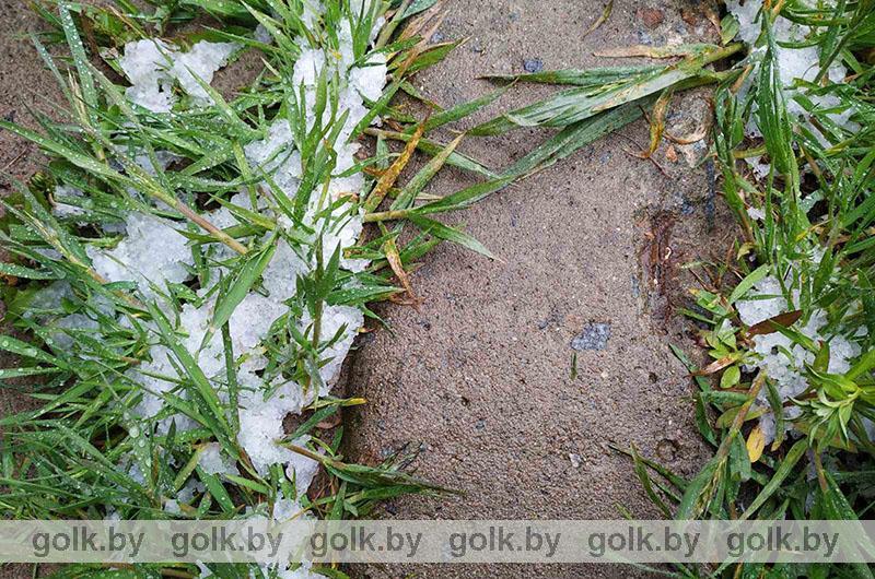 Майская аномалия: В Костюковичах 21 мая прошел кратковременный снег