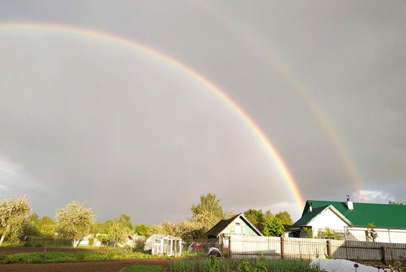 Двойная радуга: Красивое явление в небе над Костюковичами (фото)