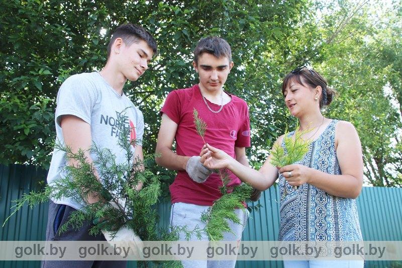 Как проводят лето гимназисты в лагере труда и отдыха в Костюковичах