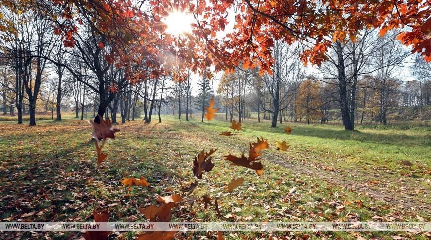 Сентябрь в этом году ожидается теплее обычного - Белгидромет