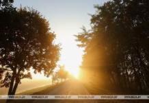 До +23°С и без осадков будет в Беларуси 12 сентября