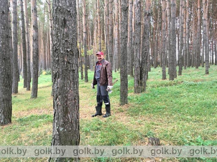 В рамках акции "Чистый лес" в Костюковичском районе прошел субботник