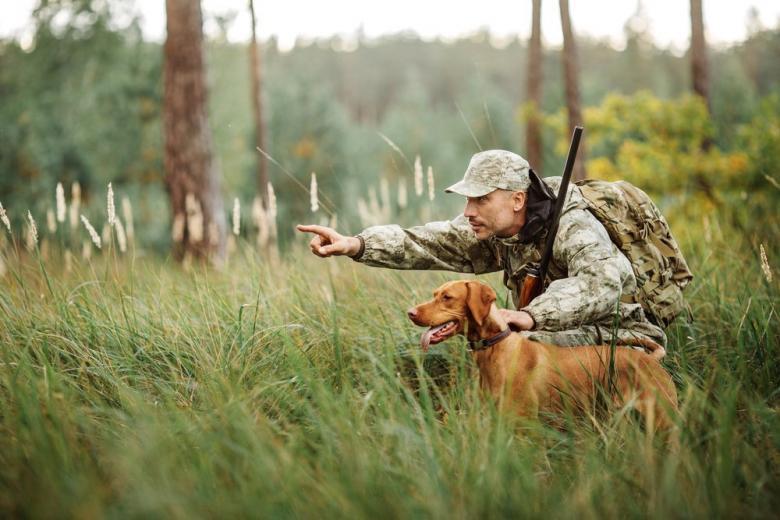 Сезон массовой охоты на пушных животных откроется в Беларуси 7 ноября