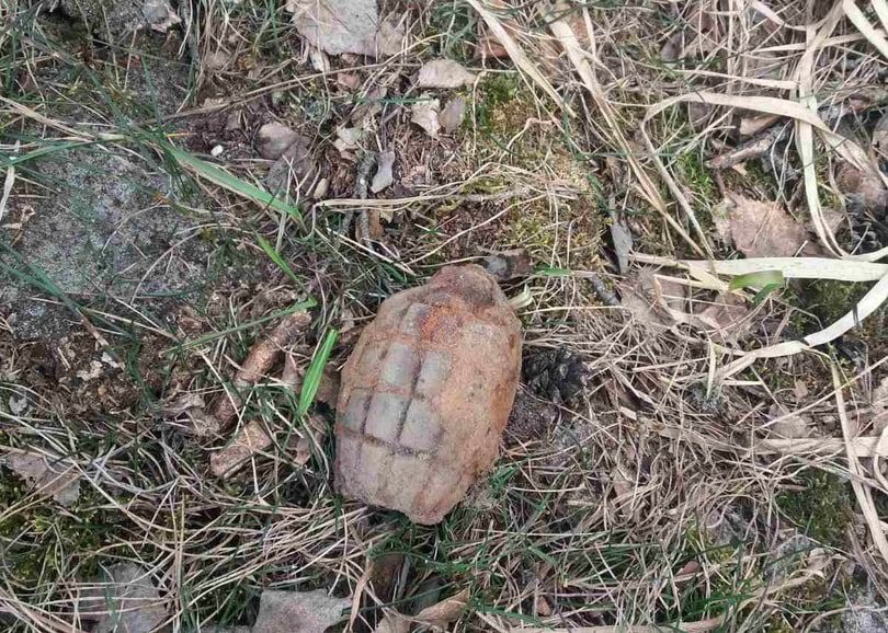 Женщина нашла боевую гранату в Костюковичском районе