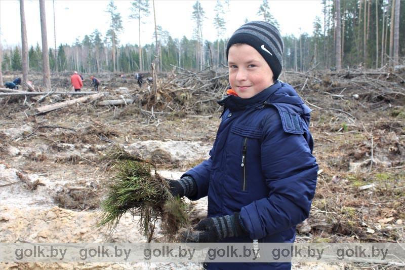 Посади свое дерево! Жители Костюковичского района участвуют в акции "Неделя леса"