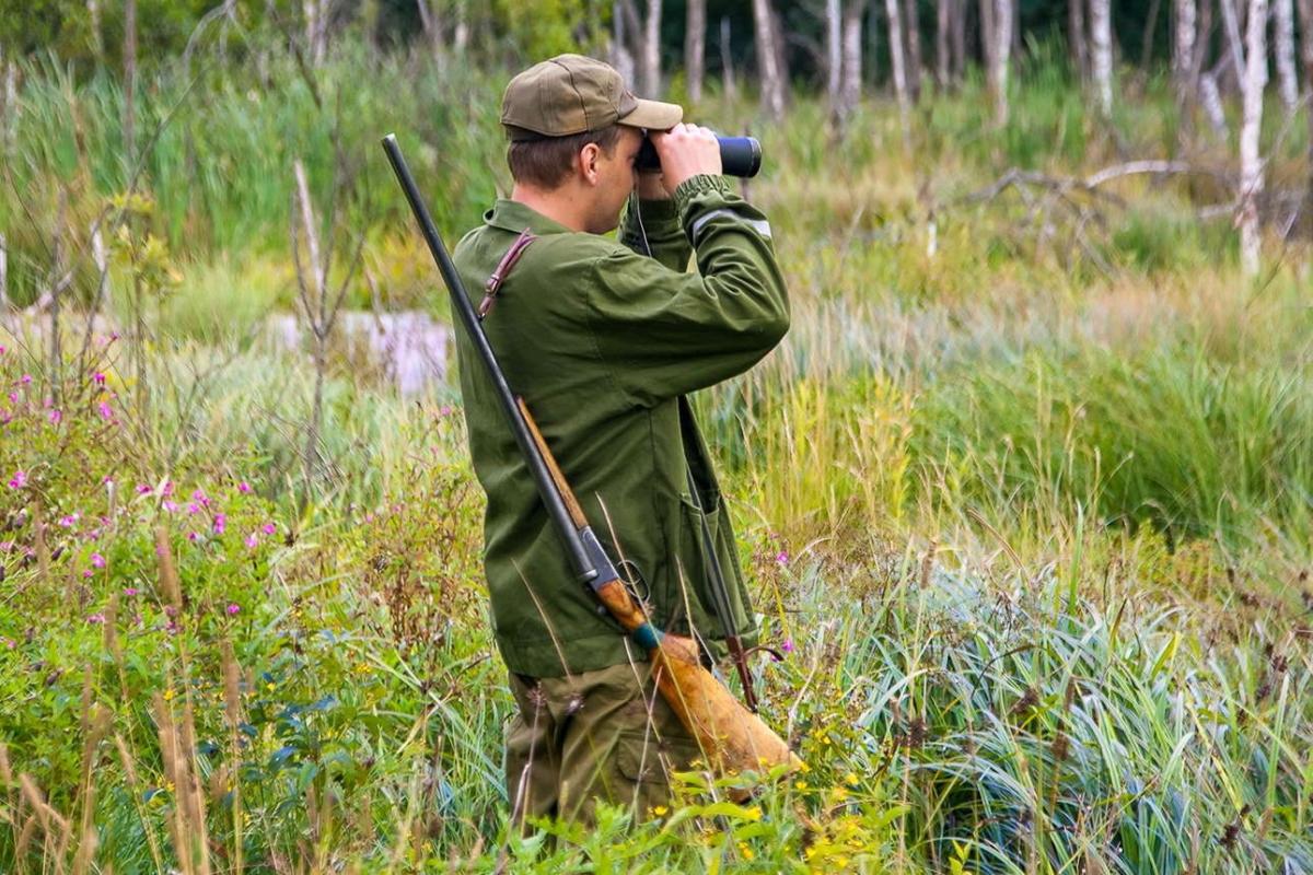 С 15 мая в Беларуси открывается сезон охоты на косулю