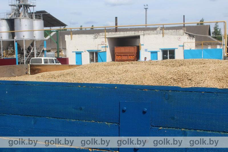 В Костюковичах на КХП начали прием нового зерна