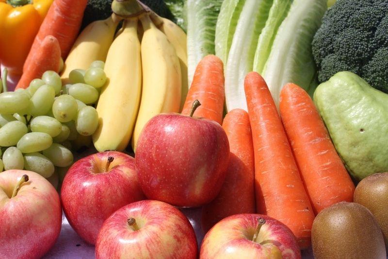 Закупочные цены на овощи и фрукты в Могилевской области выросли по сравнению с прошлым годом