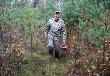 Заготовка клюквы идет в Могилевской области