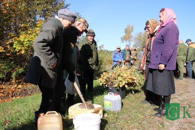 Ветераны Костюковичского лесхоза День пожилого человека отметили на свежем воздухе. Они сажали деревья