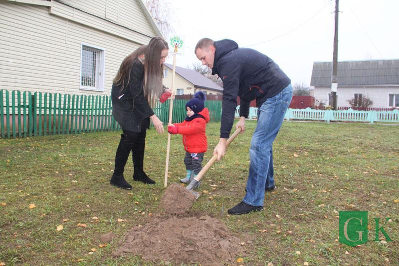 Аллея семейных деревьев в Костюковичах пополнилась новыми саженцами. Фото