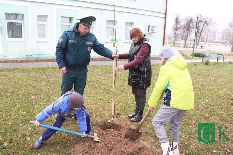 Аллея семейных деревьев в Костюковичах пополнилась новыми саженцами. Фото