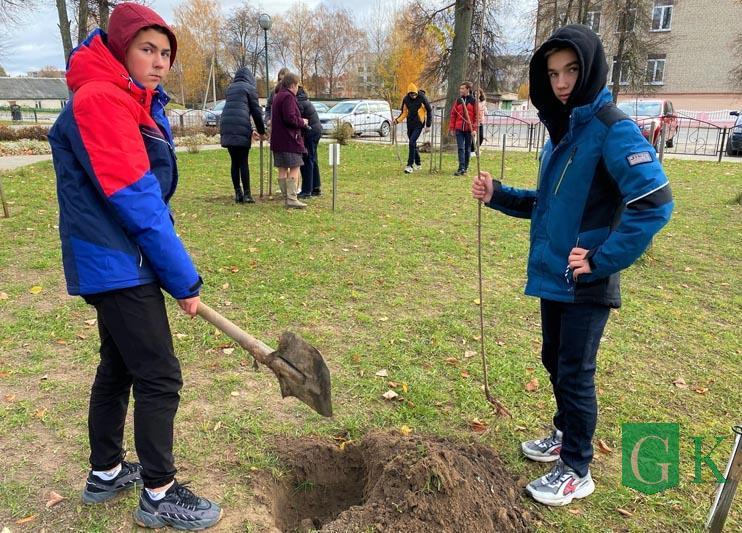Активисты БРСМ Костюковщины дополнили новыми саженцами Аллею семейных деревьев
