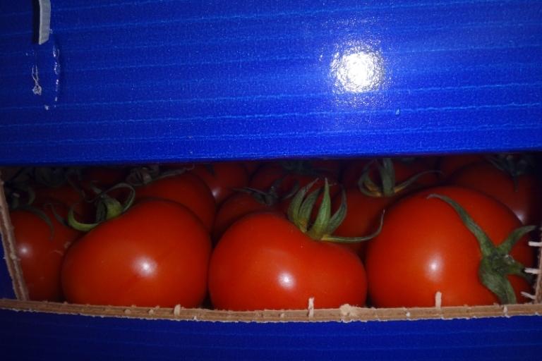 Могилевские таможенники пресекли незаконное перемещение в Россию почти 13 тонн томатов
