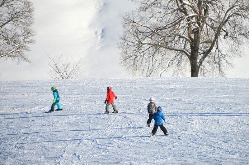 Комплекс профилактических мероприятий «Безопасные зимние каникулы» проходит в Костюковичском районе