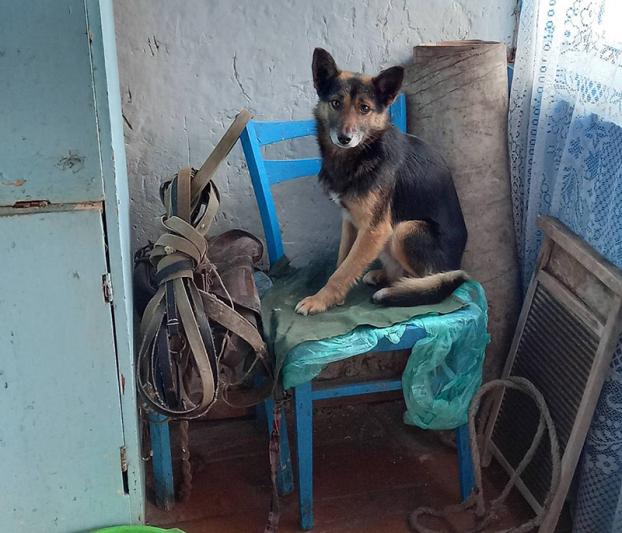 Поезд "Забота" побывал в деревнях Селецкого сельсовета. Фото Поезд "Забота" побывал в деревнях Селецкого сельсовета. Фото