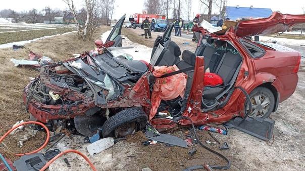 В результате ДТП в Белыничском районе погиб человек