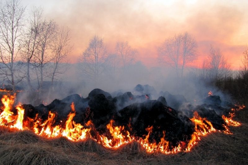 Костюковичская районная инспекция природных ресурсов и охраны окружающей среды напоминает о запрете на сельхозпалы и выжигание сухой растительности
