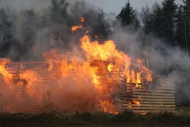 В Беларуси за сутки потушены пять лесных и два торфяных пожара