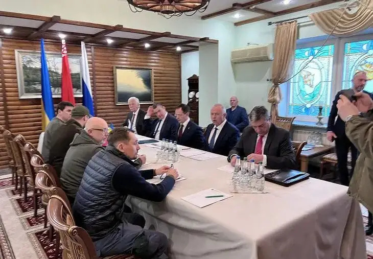 Глава российской делегации заявил о прогрессе в переговорах с Украиной