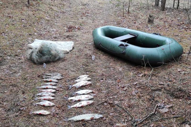 В Могилевской области за неделю трижды задерживали рыбаков-браконьеров