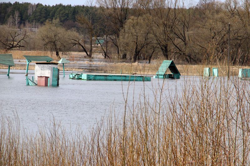 Фотофакт: река Жадунька разлилась в Костюковичах. Поводов для беспокойства нет
