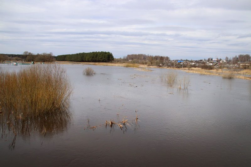 Фотофакт: река Жадунька разлилась в Костюковичах. Поводов для беспокойства нет
