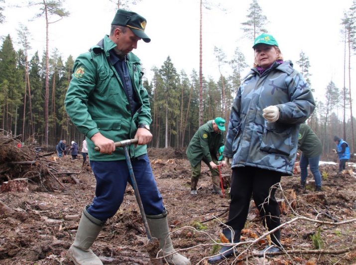 Жители Костюковичского района участвуют в акции «Неделя леса-2022»