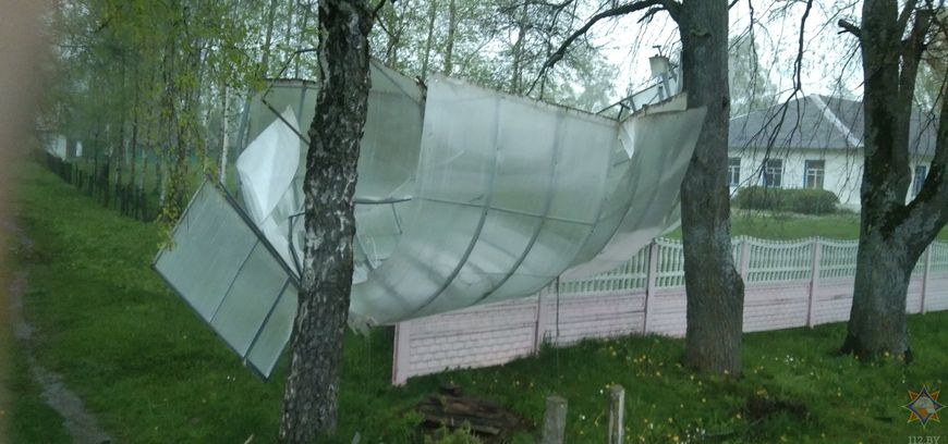 Ветер в Могилевской области повалил десятки деревьев, повреждены строения и авто